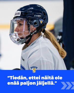 Image post by @leijonatfi on Instagram
