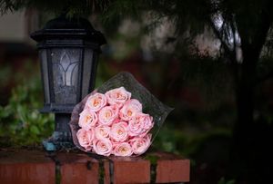 Image post by @theoregonian on Instagram