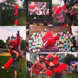 Image post by @bennythebull on Instagram