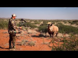 Video post by @BowmarBowhunting on YouTube