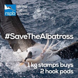 Image post by @rspb on Instagram