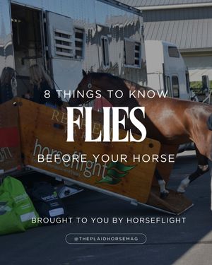 Image post by @theplaidhorsemag on Instagram