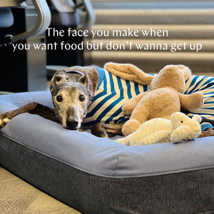 Image post by @casper on Instagram