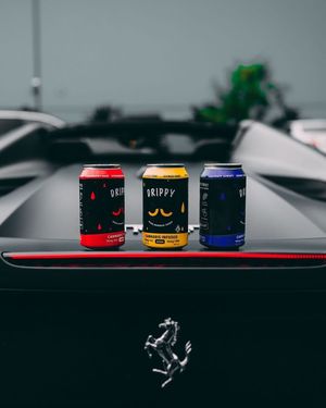 Image post by @xrprelic on Instagram