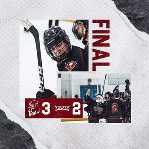 Image post by @cockhockey on Instagram