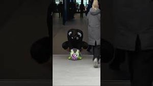Video post by @deportes on YouTube