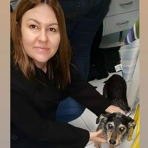 Image post by @adestradores.caosincero on Instagram