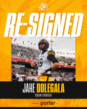 Image post by @hamiltontigercats on Instagram