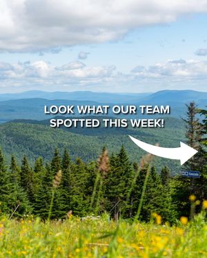 Image post by @mountsnow on Instagram