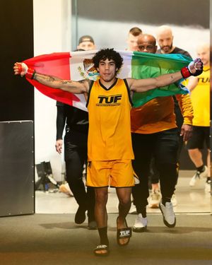 Image post by @ufc on Twitter/X