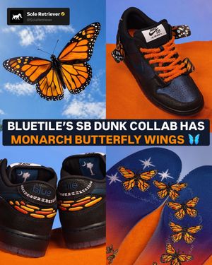 Image post by @soleretriever on Instagram