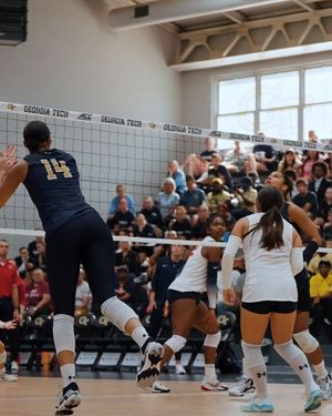 Image post by @gtvolleyball on Instagram