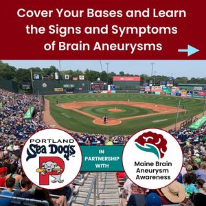 Image post by @portland_seadogs on Instagram