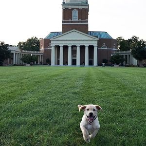 Image post by @wfuniversity on Instagram
