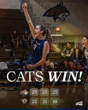 Image post by @msubobcatsvb on Instagram