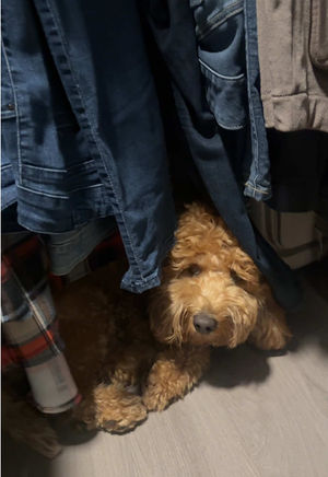 Video post by @tedflixnchill on TikTok