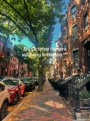 Video post by @bostonwithemily on TikTok