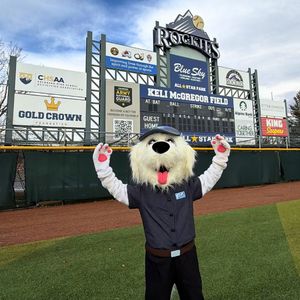 Image post by @goldcrownco on Instagram