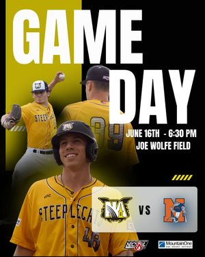 Image post by @steeplecats on Instagram