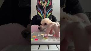 Video post by @slowmagicmusic on YouTube