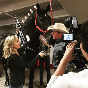 Image post by @nationalwestern on Instagram