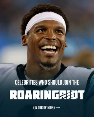 Image post by @roaringriot on Instagram