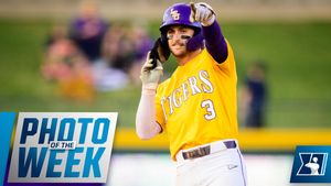 Image post by @NCAABaseball on Twitter