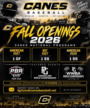 Image post by @thecanesbb on Instagram