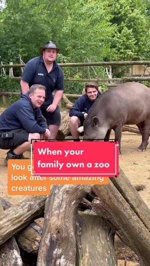 Video post by @cbbc on TikTok