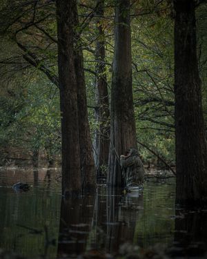 Image post by @realtreeoutdoors on Instagram