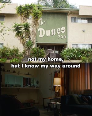 Image post by @hooraemedia on Instagram