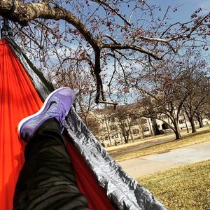 Image post by @kansasstateuniversity on Instagram