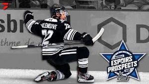Video post by @flohockey on YouTube