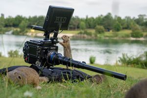 Image post by @reddigitalcinema on Instagram
