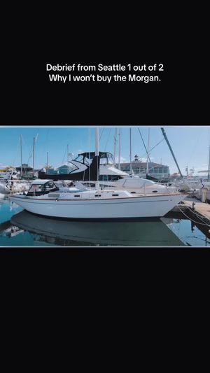 Video post by @sailing_with_phoenix on TikTok
