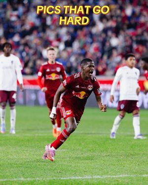 Video post by @redbullnewyork on TikTok