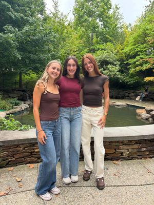 Image post by @arcadia_fh on Instagram