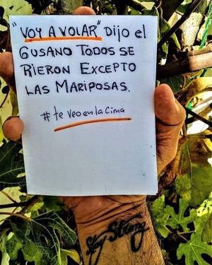 Image post by @psic_prem_alberto on Instagram
