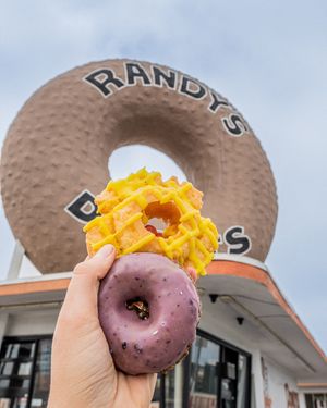 Image post by @randysdonuts on Instagram