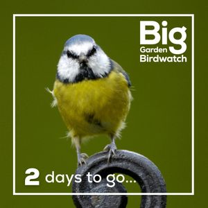 Image post by @rspb on Instagram