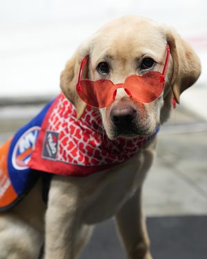Image post by @nyislespup on Instagram