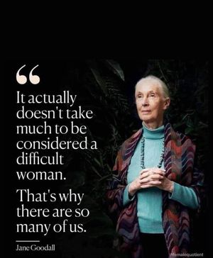 Image post by @thewomensorganisation on Instagram