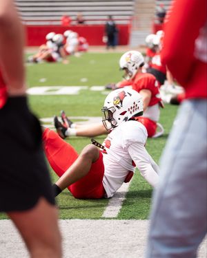 Image post by @RedbirdFB on Twitter