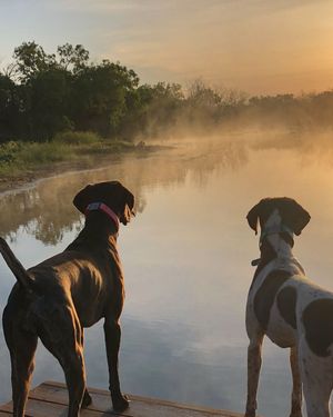 Image post by @frostbank on Instagram