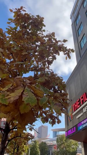 Video post by @ElementMinneapolisDowntown on Facebook