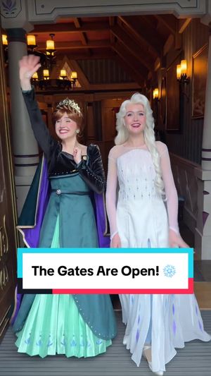 Video post by @disneyparks on TikTok