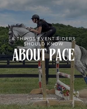 Image post by @theplaidhorsemag on Instagram