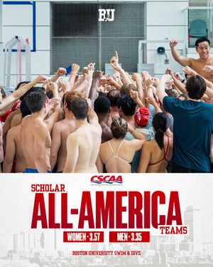 Image post by @terrierswimdive on Instagram