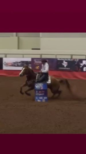 Video post by @jandcbitstexas on Facebook