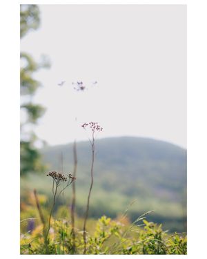 Image post by @abriellekate.photo on Instagram
